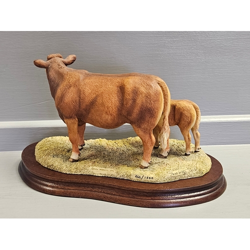 295 - Border Fine Arts 'Limousin Cow & Calf' L157 By Anne Wall Limited Edition 466/1500 On Wood Base