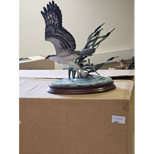 306 - Border Fine Arts 'Osprey' B0987 By R Ayres Limited Edition 217/500 With Certificate & Box On Wood Ba... 