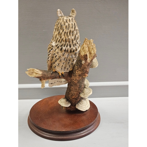 307 - Border Fine Arts 'Long Eared Owl' Style One RB20 By R Ayres On Wood Base