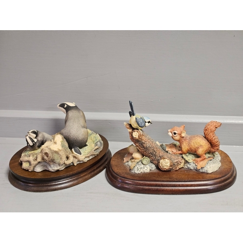 323 - Border Fine Arts 'Badger' RW3 On Wood Base & 'Squirrel & Blue Tit' FE15 By R Ayres On Wood Base