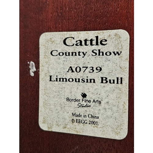 165 - Border Fine Arts 'Limousin Bull' A0739 On Wood Base