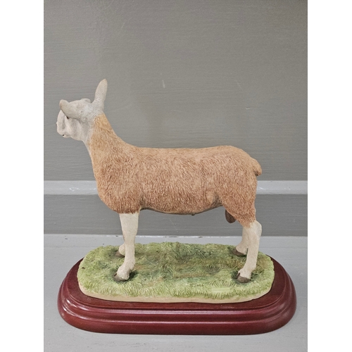 167 - Border Fine Arts 'Blue Faced Leicester Ram' A0737 On Wood Base