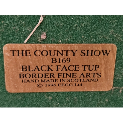 168 - Border Fine Arts 'Black Face Tup' B169 By Anne Wall On Wood Base