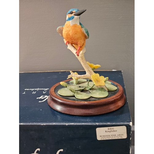 177 - Border Fine Arts 'Robin & Chicks In Boot' RB45 By R Ayres On Wood Base With Box, 'Kingfisher' RB41 B... 