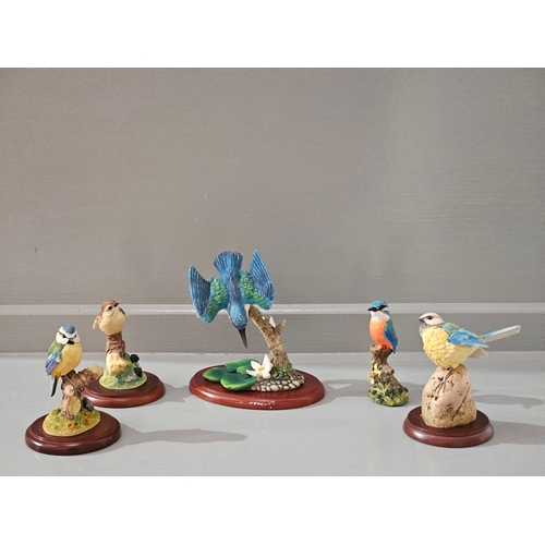 178 - 5 Border Fine Arts Bird Figurines With Boxes