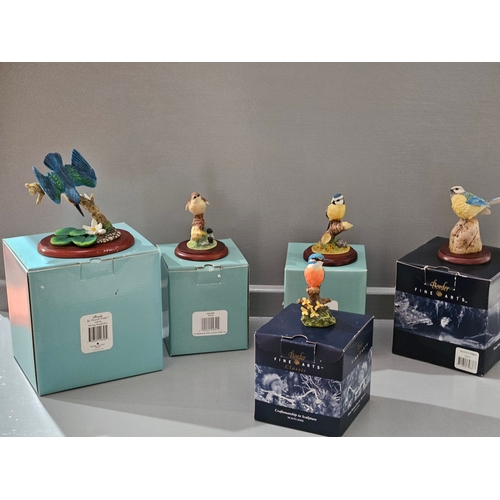 178 - 5 Border Fine Arts Bird Figurines With Boxes