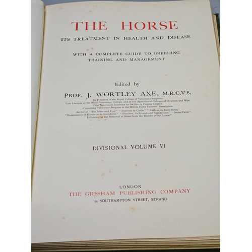 17 - 9 Volumes - The Horse Its Treatment In Health & Disease By Prof. J Wortley Axe, M R C V S