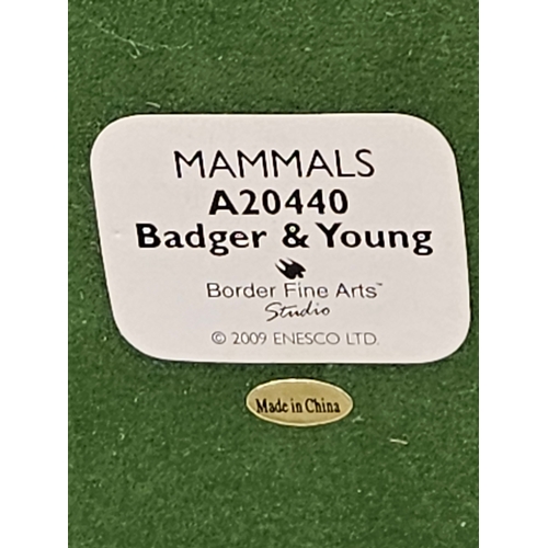 Border Fine Arts 'Badger & Young A20440 On Wood Base, Border Fine Arts ...