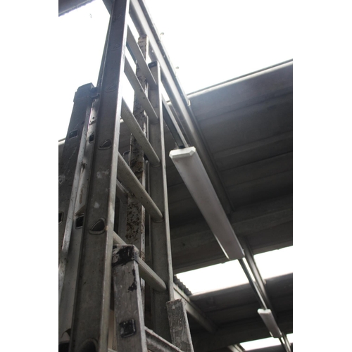 142 - LONG GALVANISED LADDER