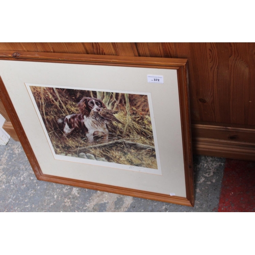 372 - FRAMED PICTURE OF HUNTING DOG AND BIRD