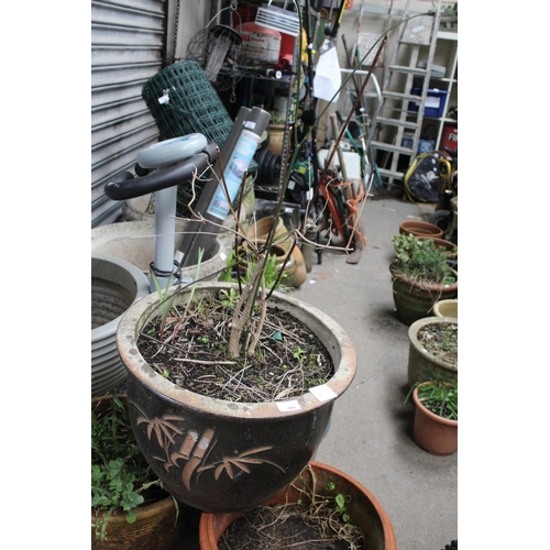 5 - LARGE STONEWARE GLAZED PLANT  POT WITH PLANT