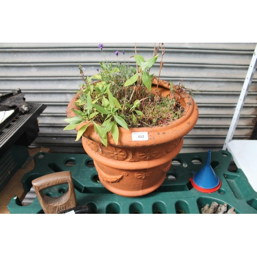 12 - TERRACOTTA PLANTER WITH PLANTS