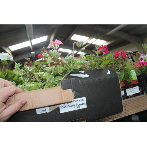 95 - LARGE BOX OF MIXED BEDDING PLANTS