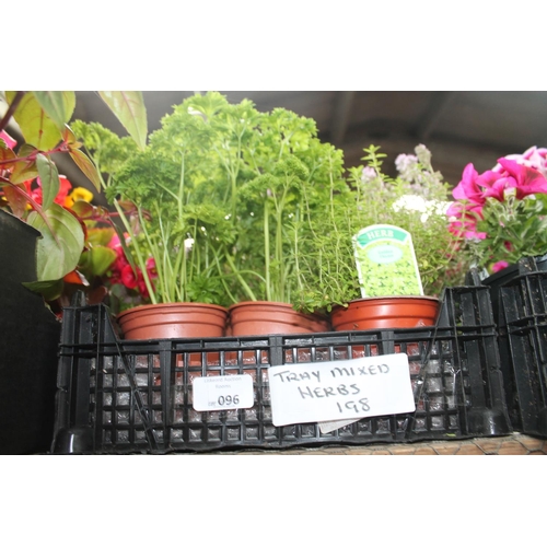 96 - TRAY OF MIXED HERBS