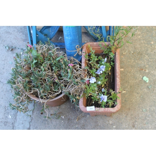 1 - 2 PLASTIC PLANTERS WITH FLOWERS