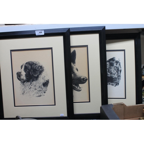 499 - 3 FRAMED DOG PICTURES