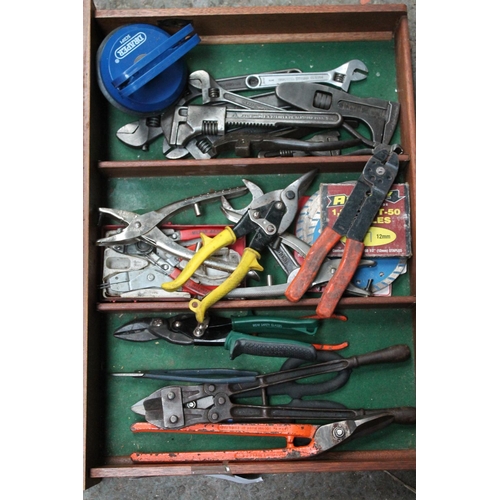 15 - TRAY OF SNIPS, ADJUSTABLES AND PUNCHES