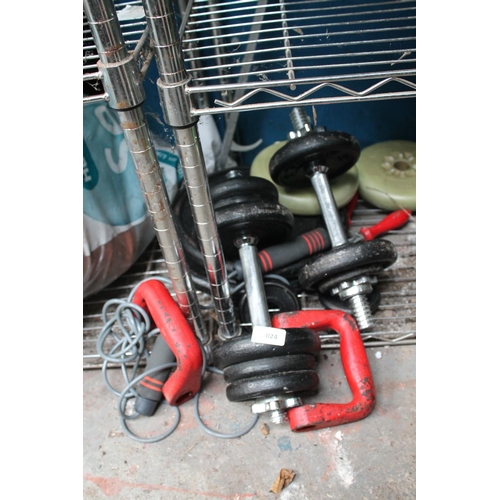 24 - QTY OF GYM EQUIPMENT INC CAST WEIGHTS