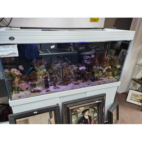 556 - VERY LARGE MARINE FISH TANK AND CONTENTS. 5FT BY 5FT. INCLUDES EVERYTHING THAT YOU SEE. (DELIVERY IS... 