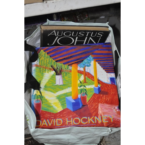 216 - BAG OF ARTISTS BOOKS