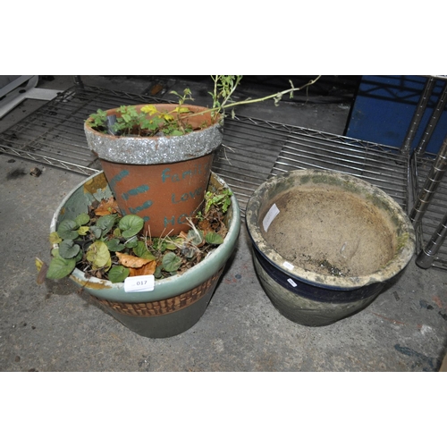 17 - THREE TERRACOTTA PLANT POTS, TWO WITH SHRUBS