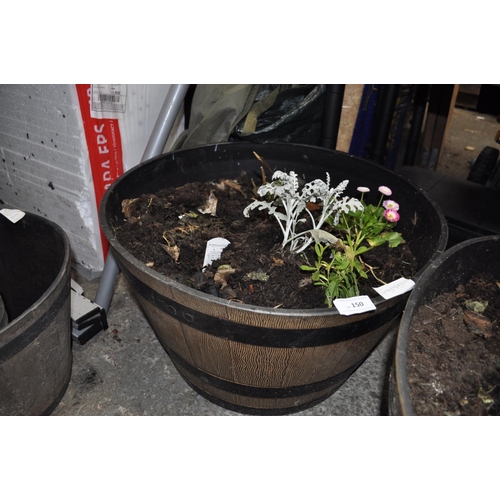 150 - LARGE PLASTIC TUB OF PLANTS