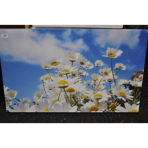 609 - CANVAS PRINT OF DAISIES