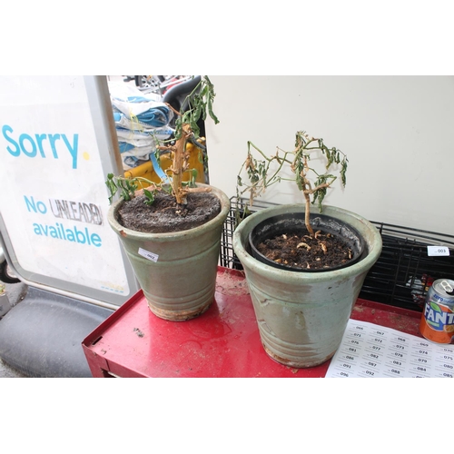 2 - PAIR OF SAGE GREEN TERRACOTTA POTS  APPROX 10 INCH