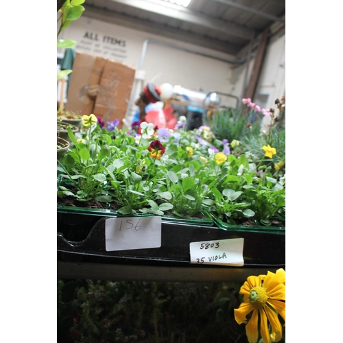 Lot 156       