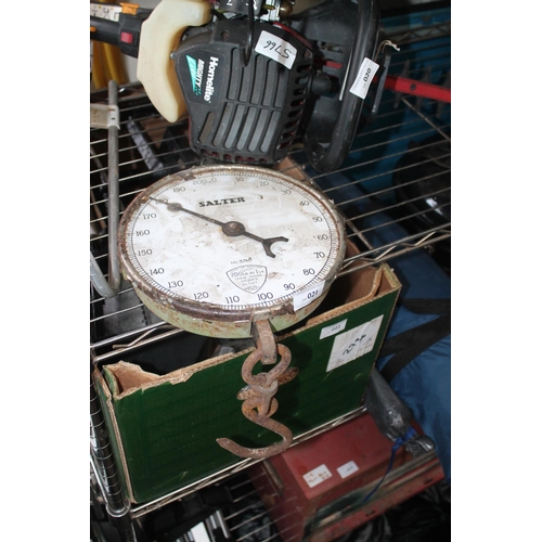 21 - PAIR OF SALTER SCALES AND A GARDEN SPRINKLER