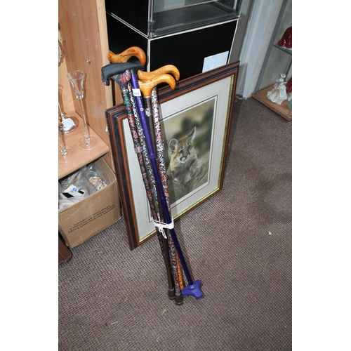 423 - QTY OF COLOURFUL WALKING STICKS