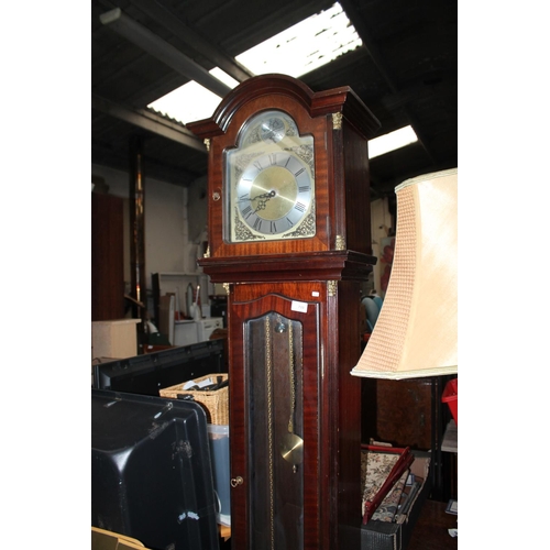 733 - TEMPEST FUGIT GRANDFATHER CLOCK