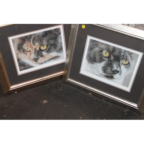 3 - 2 FRAMED A.DAVIDSON CAT PRINTS ENTITLED CONSIDERING AND INVESTIGATING