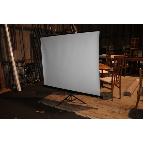 535 - FOLDING PROJECTOR SCREEN