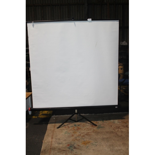 590 - PROJECTOR SCREEN