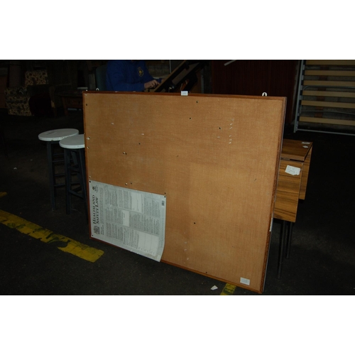 672 - LARGE PIN BOARD