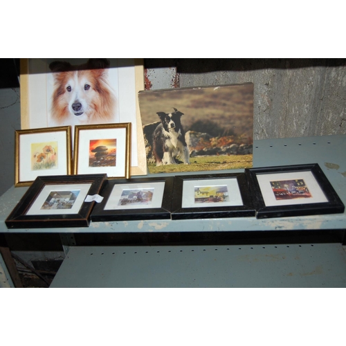 680 - QTY OF SMALL FRAMED PICTURES INC COLLIE DOG