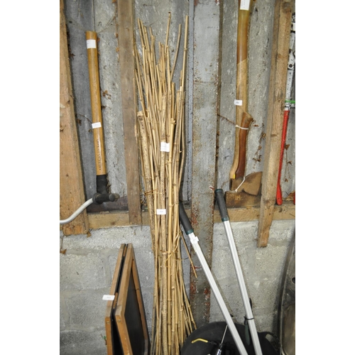 54 - LARGE QTY OF BAMBOO CANE