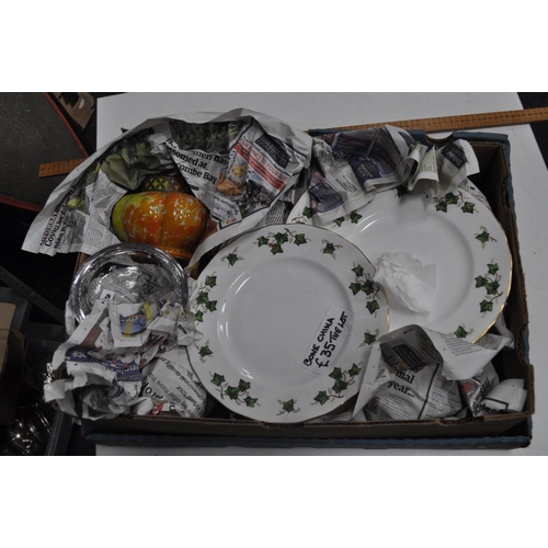 74 - BOX OF COLCLOUGH DINNER PLATES