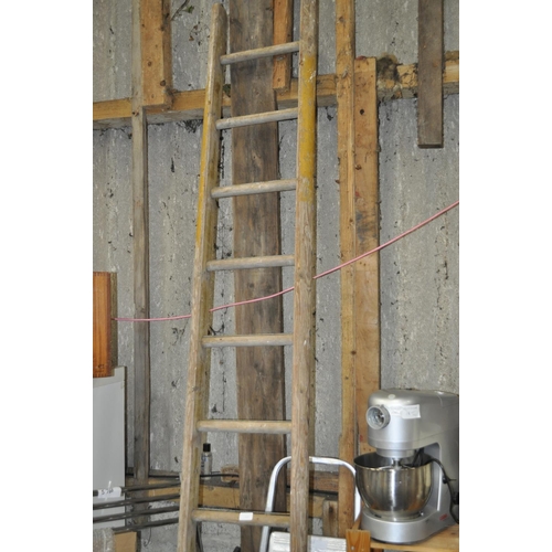 300 - LARGE VINTAGE SINGLE LADDER