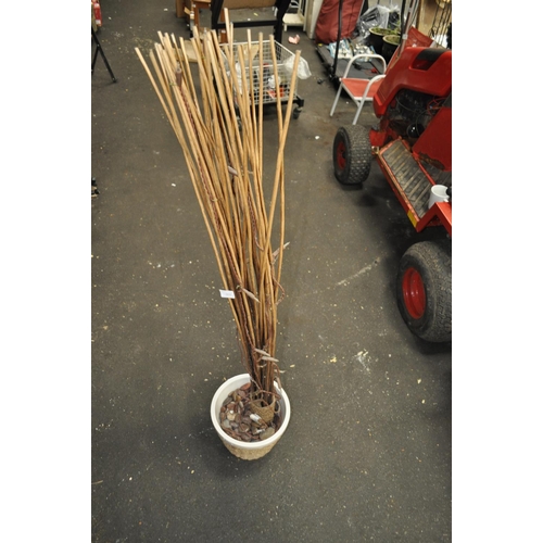 303 - TUB WITH PEBBLES AND BAMBOO