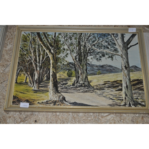 1032 - ORIGINAL OIL ON BOARD OF WOODLAND SCENE