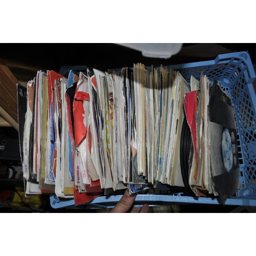 Lot 230       