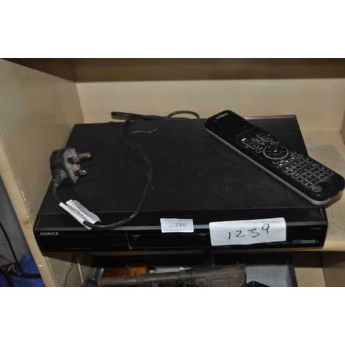 Lot 236       