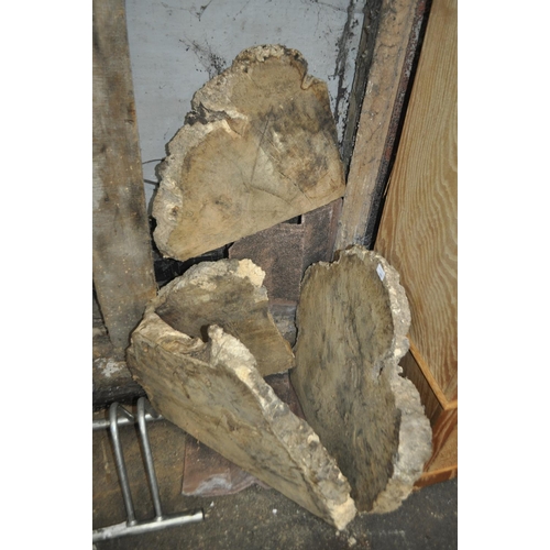 1 - 4 X LARGE WOOD SLICES, POSSIBLY BURR OAK. LARGEST IS 29