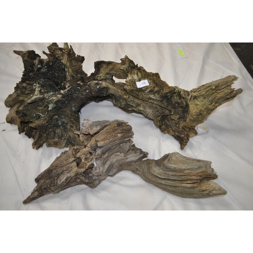 Lot 56        