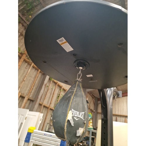 103 - Everlast Freestanding Speed Bag Frame and Platform with Physionics Weights

A freestanding Everlast ... 