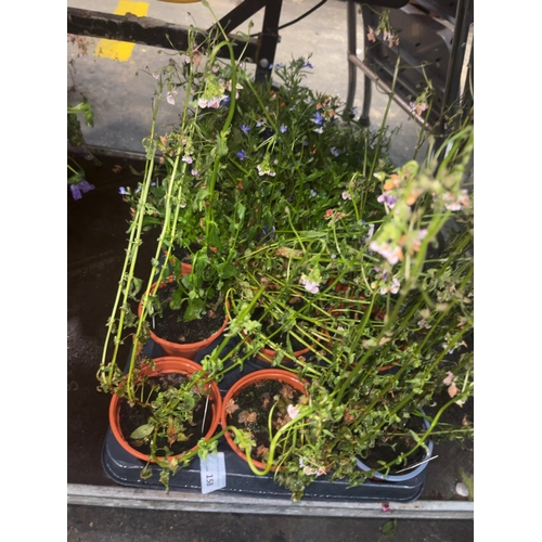 Lot 158       
