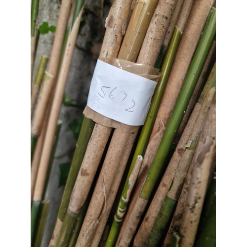 82 - A Collection of Bamboo Garden CanesAn assortment of natural bamboo garden canes, suitable for hort... 