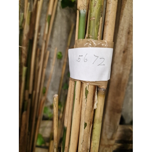 83 - A Collection of Garden Bamboo Canes and Support Stakes

An assortment of natural bamboo garden canes... 